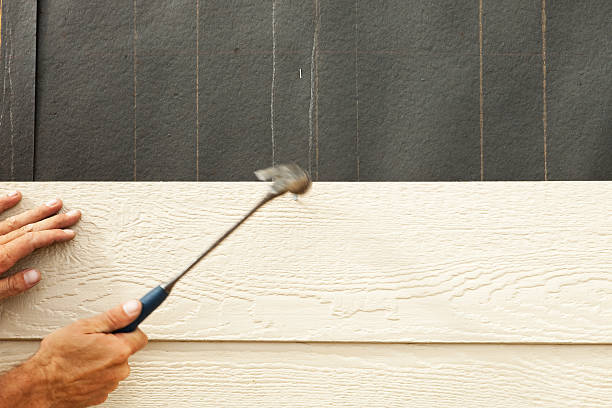 Best Custom Siding Design  in Roswell, GA